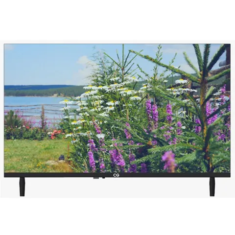 CG 43 Inch Smart LED TV (CG43FLS2) model CG43FLS2 front view - GharOne Nepal